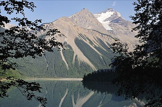 湖,山,罗布森山省立公园,不列颠哥伦比亚省,加拿大