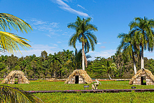 青铜,塑像,圆锥形帐篷,乡村,酒店,岛屿,湿地,马坦萨斯,半岛,古巴