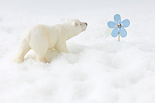 玩具,北极熊,雪中,看,假花