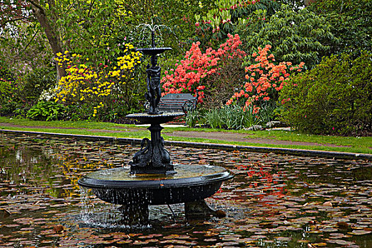 喷泉,水塘,历史,坎特伯雷,南岛,新西兰