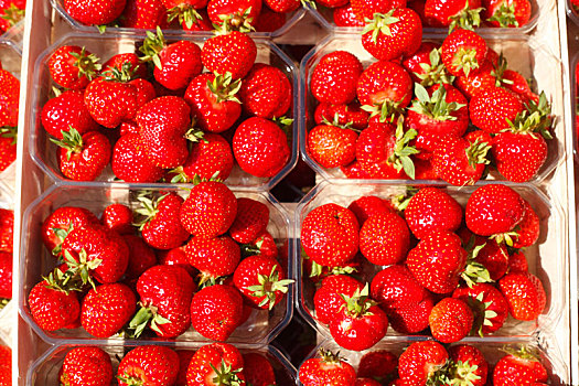 德国,草莓,市场货摊,塑料杯
