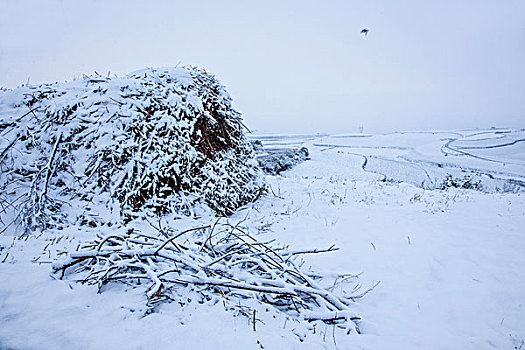 冬季的云南东川红土地雪原