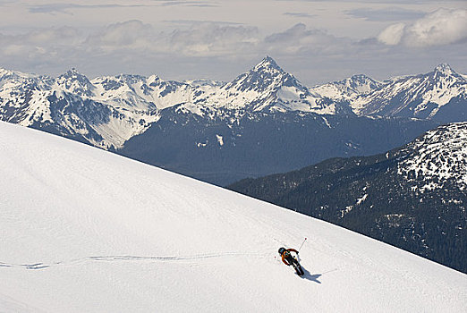 滑雪者,斜坡,山,靠近,阿拉斯加