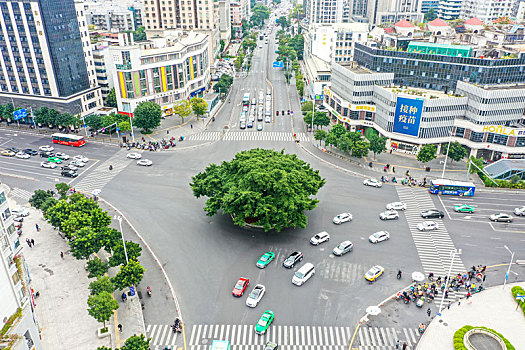 航拍福州八一七中路一棵大榕树矗立十字路口