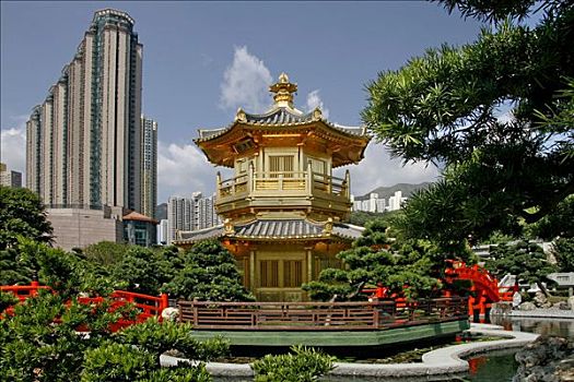 塔,素食主义,花园,香港,中国,亚洲