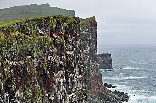 悬崖,西部,峡湾,冰岛,欧洲