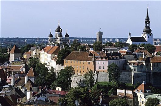 城堡区,教堂,老城,塔林,爱沙尼亚