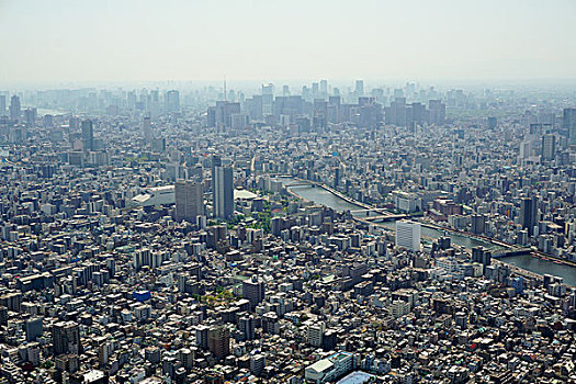 航拍,拥挤,城市,天空,晴天,东京,日本