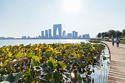 苏州金鸡湖