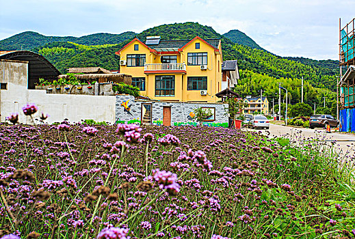 小院,院落,民宿