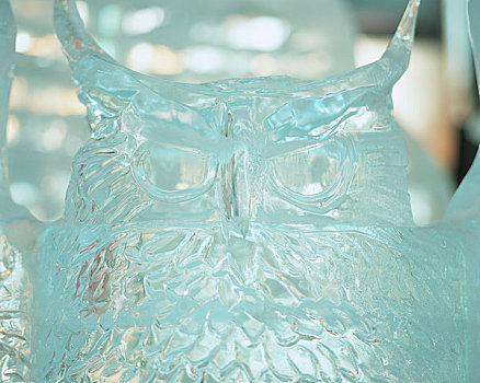 猫头鹰,冰,雕塑
