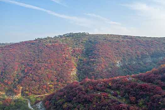 航拍济南章丘赵家岭村红叶漫山