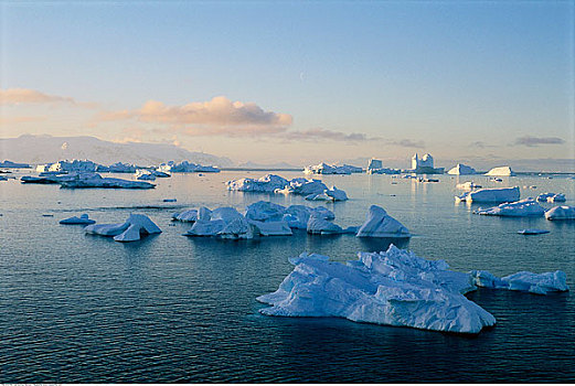 冰山,湾,南极