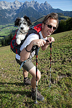 漫步者,狗,小,走,长,远处,背包,上升,山,提洛尔,奥地利,欧洲