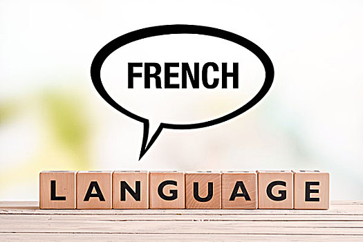 法国,语言文字,授课,标识,立方体,桌子