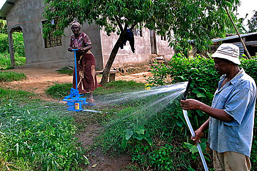 情侣,乡村,农事,社区,水,蔬菜,地点,阿鲁沙,坦桑尼亚,十二月,2008年