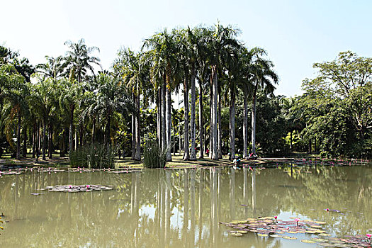 中科院西双版纳热带植物园