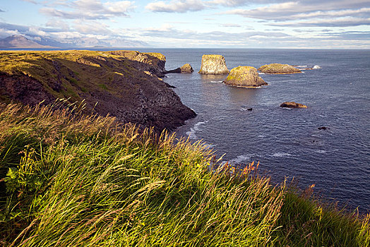 海边风景,岩石海岸,靠近,斯奈山半岛,西部,冰岛,韦斯特兰德,欧洲