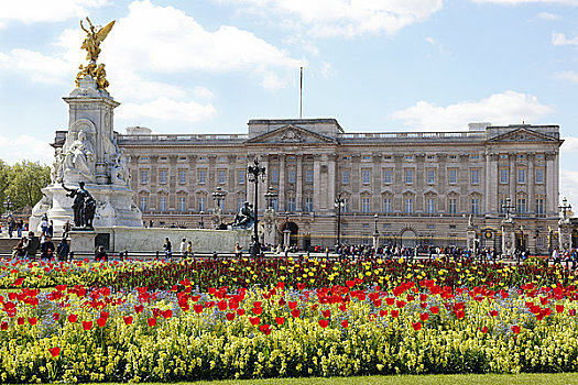 英格兰,伦敦,白金汉宫,维多利亚,纪念,郁金香