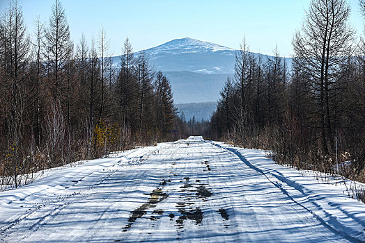 冬季的森林公路