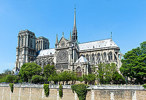 巴黎圣母院,教堂,世界遗产,巴黎,法国,欧洲