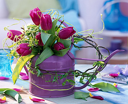 紫色,洒水壶,花瓶,郁金香属,郁金香,柳树