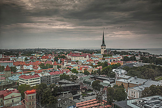 俯拍,城市,教堂,尖顶,塔林,爱沙尼亚
