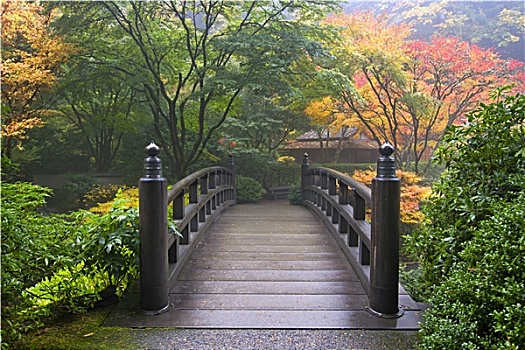 木桥,日式庭园,秋天