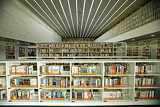 天津,图书馆