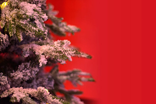 红色背景的圣诞树