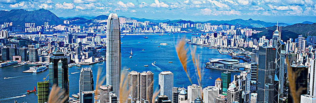 全景,维多利亚港,顶峰,香港