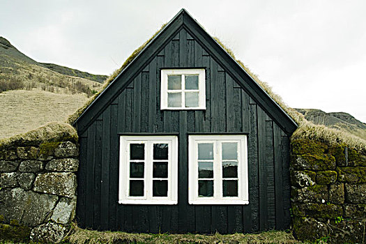 特色,冰岛,房子,绿色,屋顶