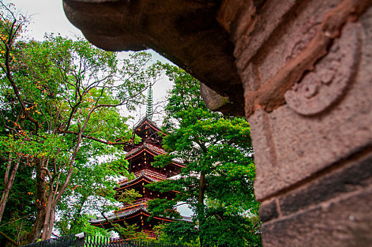 日本东京,上野东照宫的著名地标,宽永寺五重塔