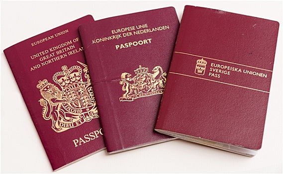 护照,英国,北爱尔兰,荷兰,瑞典