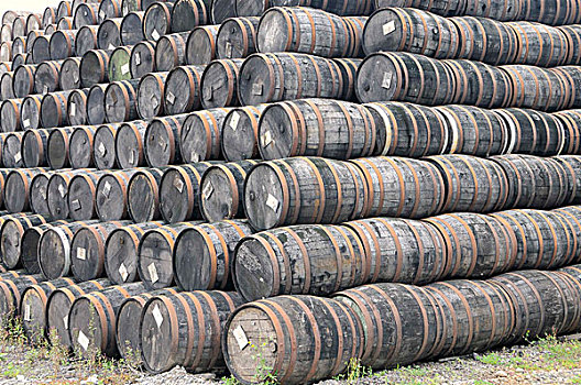 一堆,木质,威士忌,酿酒厂,世界,中部地区,爱尔兰,欧洲