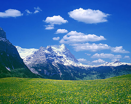 积雪,艾格尔峰,山峦