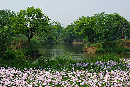 杭州西溪湿地