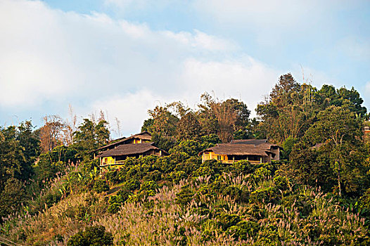竹子,小屋,和谐,住宿,北方,泰国,亚洲
