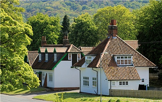 房子,英国,乡村