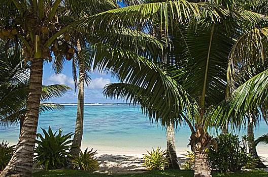 库克群岛,拉罗汤加岛,海滩,吊床