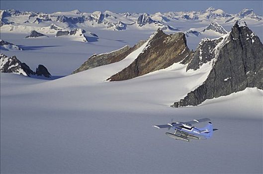 水上飞机,上方,朱诺冰原,海岸,水獭