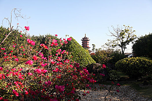 厦门,鼓浪屿,海岛,建筑,旅游,风光,花卉,城市,干净,文明