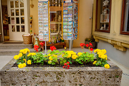 德国巴伐利亚罗腾堡童话镇商店门口前的盆花