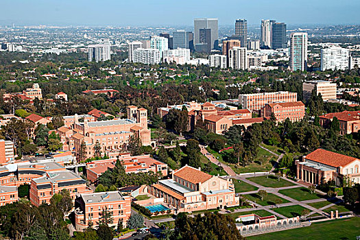 俯视,校园,洛杉矶,背景