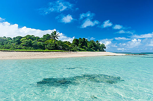 青绿色,水,小,岛屿,白沙滩,汤加,南太平洋