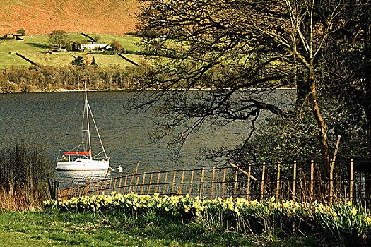 坎布里亚,英格兰,帆船,乌尔斯维特湖,湖,湖区国家公园