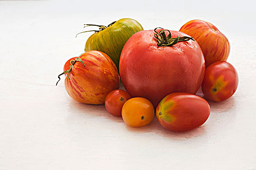 种类,纯种西红柿
