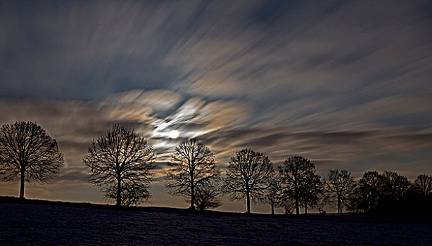 满,月亮,后面,云,树,剪影,夜晚,长时间曝光,巴登符腾堡,德国,欧洲
