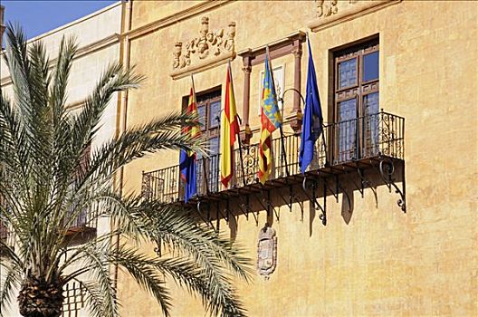 市政厅,棕榈树,阿利坎特,白色海岸,西班牙