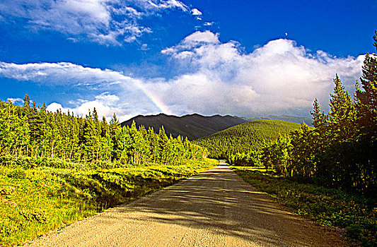 彩虹,上方,土路,卡纳纳斯基斯,艾伯塔省,加拿大